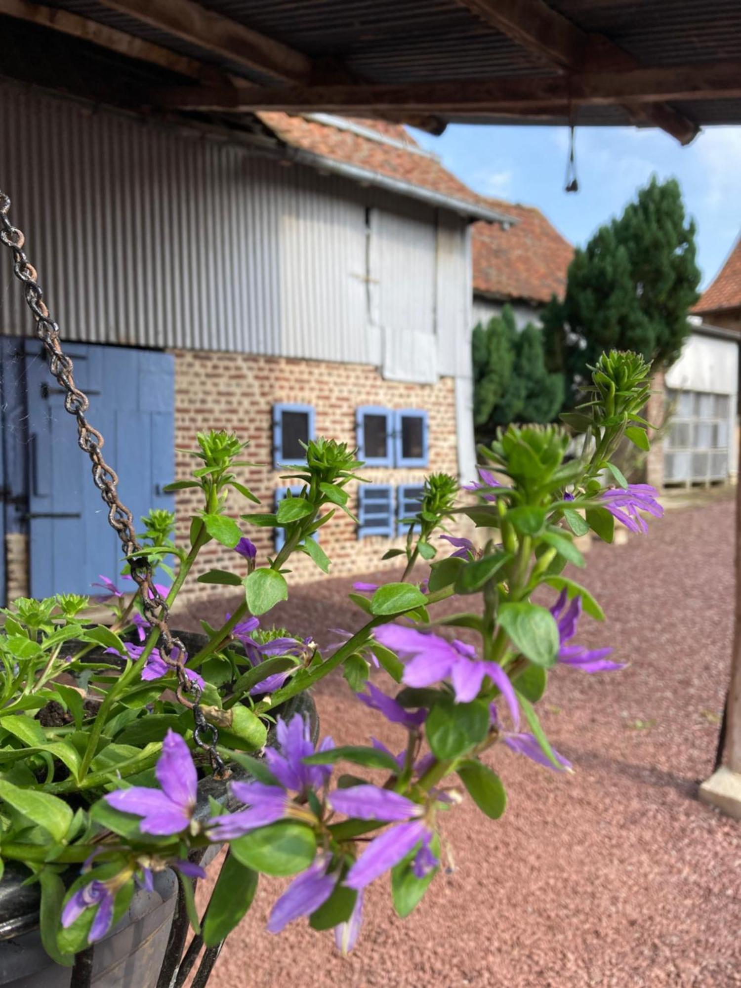 La Grange Aux Tommies - Pays Du Coquelicot Villa Bus-les-Artois Eksteriør billede